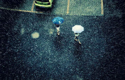 雨水收集利用的經濟效益如何？怎樣能實現雨水收集利用？