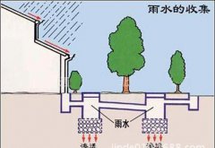 初期雨水收集為什么這么重要？